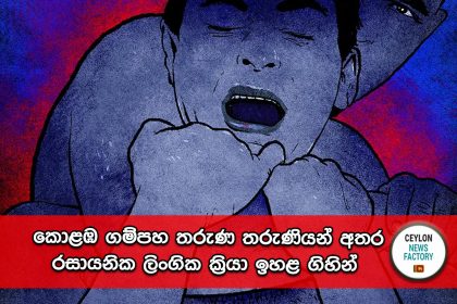 රසායනික ලිංගික ක්‍රියා