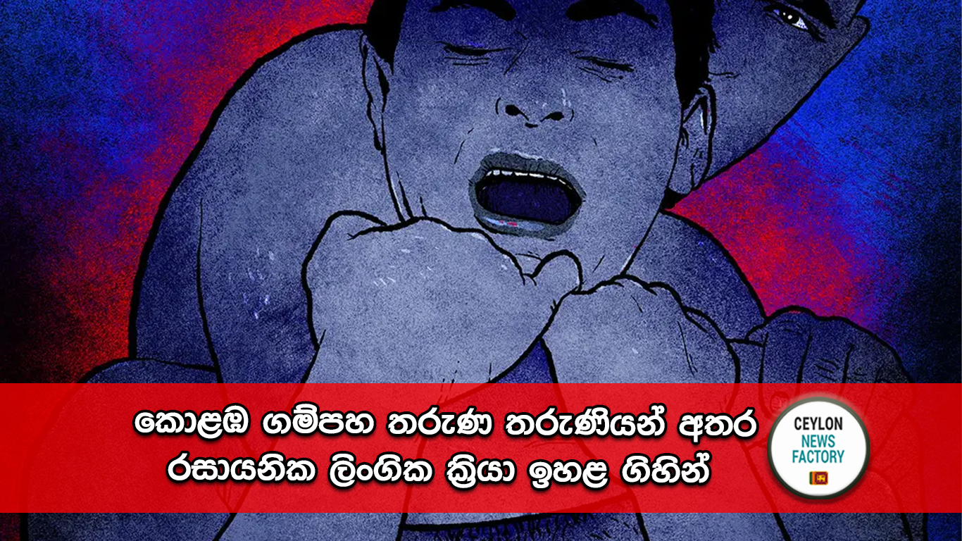 රසායනික ලිංගික ක්‍රියා