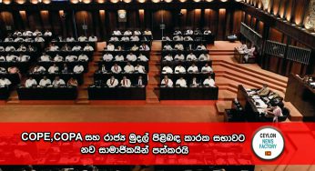 COPE, COPA සහ රාජ්‍ය මුදල් පිළිබඳ කාරක සභාවට නව සාමාජිකයින් පත්කරයි.