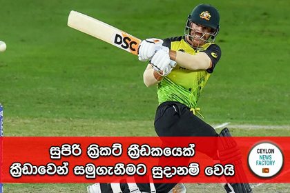 David Warner