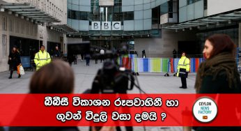 බීබීසී විකාශන රූපවාහිනී හා ගුවන් විදුලි වසා දමයි ?