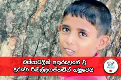 එප්පාවලින් අතුරුදහන් වූ දරුවා