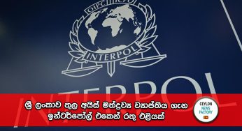 ශ්‍රී ලංකාව තුල අයිස් මත්ද්‍රව්‍ය ව්‍යාප්තිය ගැන ඉන්ටර්පෝල් එකෙන් රතු එළියක් !