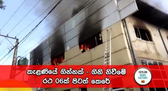 කැළණියේ ගින්නක් – ගිනි නිවීමේ රථ 06ක් පිටත් කෙරේ (VIDEO)