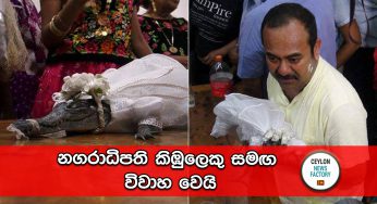 නගරාධිපති කිඹුලෙකු සමඟ විවාහ වෙයි !