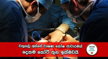 වකුගඩු අස්සේ වෘෂණ කෝෂ ජාවාරමක් – දෙකම කෝටි තුන ඉක්මවයි !