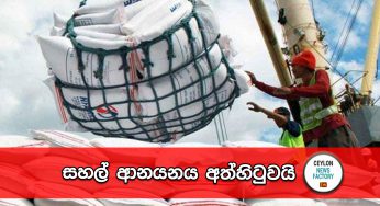 සහල් ආනයනය අත්හිටුවයි !