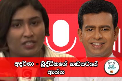 අදර්ශා - බුද්ධික