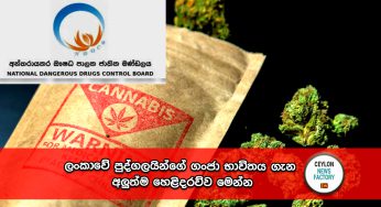 ලංකාවේ පුද්ගලයින්ගේ ගංජා භාවිතය ගැන අලුත්ම හෙළිදරව්ව මෙන්න ! 