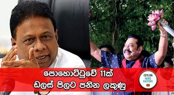 පොහොට්ටුවේ 11ක් ඩලස් පිලට පනින ලකුණු ! 