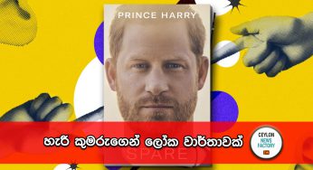 හැරී කුමරුගෙන් ලෝක වාර්තාවක් !