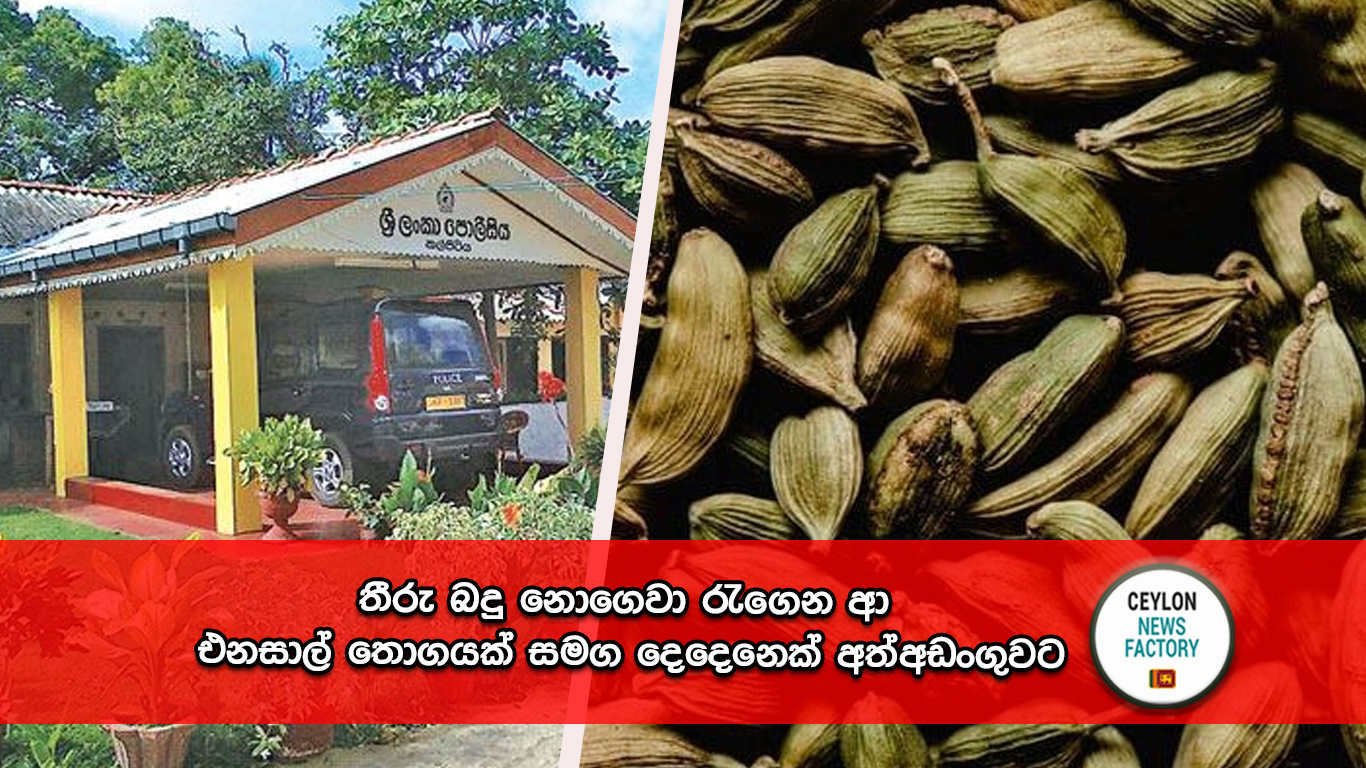 එනසාල් තොගයක්