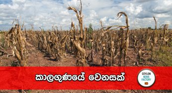 කාලගුණයේ වෙනසක් ! 