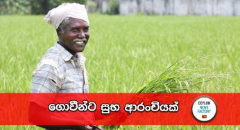 ගොවීන්ට සුභ ආරංචියක් !