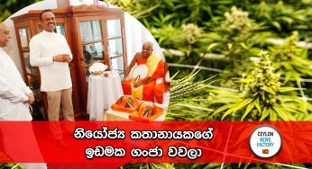නියෝජ්‍ය කතානායකගේ ඉඩමක ගංජා වවලා !