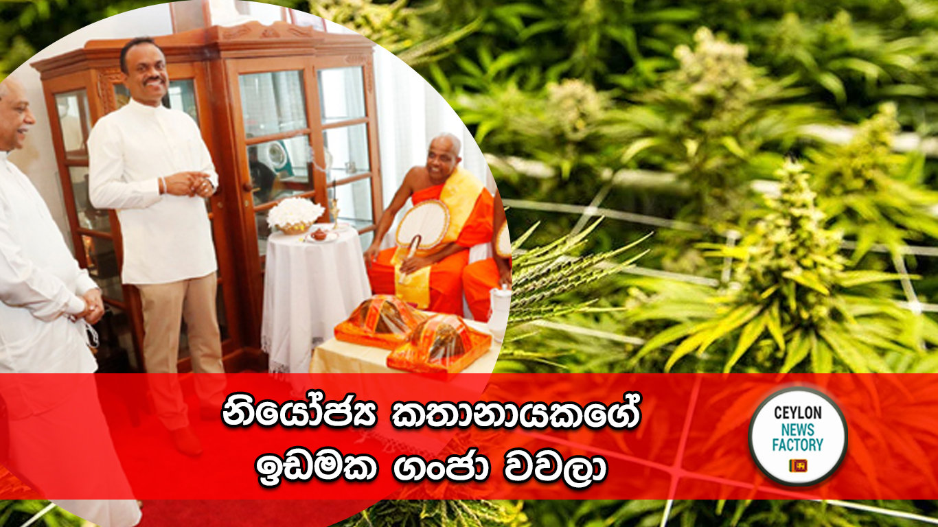 නියෝජ්‍ය කතානායක