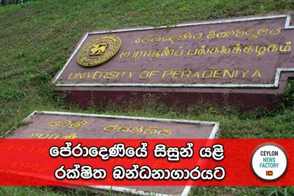 පේරාදෙණිය විශ්වවිද්‍යාලය