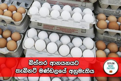 බිත්තර