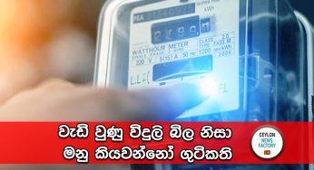 වැඩි වුණු විදුලි බිල නිසා මනු කියවන්නෝ ගුටිකති !