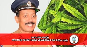 ගංජා සමග කොටුවූ මොනරාගල ජ්‍යෙෂ්ඨ පොලිස් අධිකාරීවරයාට වැඩ වරදින ලකුණු !