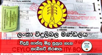 විදුලි ගාස්තු මිල සූත්‍රය ගැන කැබිනට් තීරණය !