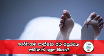 හෝමාගම තාක්ෂණ පීඨ සිසුවෙකු අභිරහස් ලෙස මියයයි ! 
