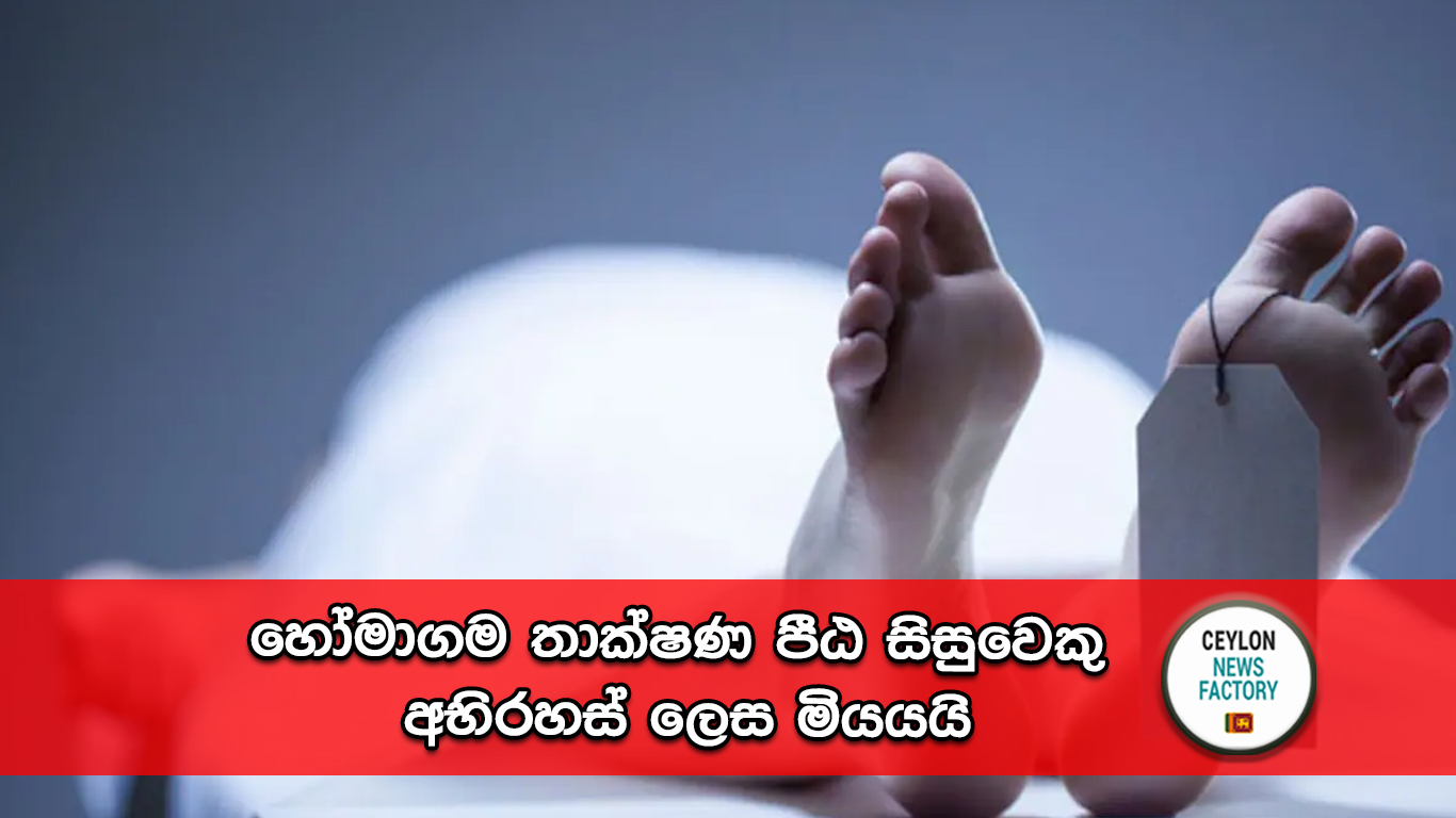 හෝමාගම තාක්ෂණ පීඨ සිසුවෙක්