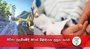සිරිපා පුදබිමේදී මවක් බිළිඳියක ප්‍රසූත කරයි !