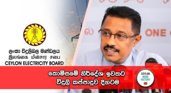 කොමිසමේ නිර්දේශ ඉවතට – විදුලි කප්පාදුව දිගටම !