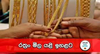 රත්‍රං මිල යළි ඉහළට !