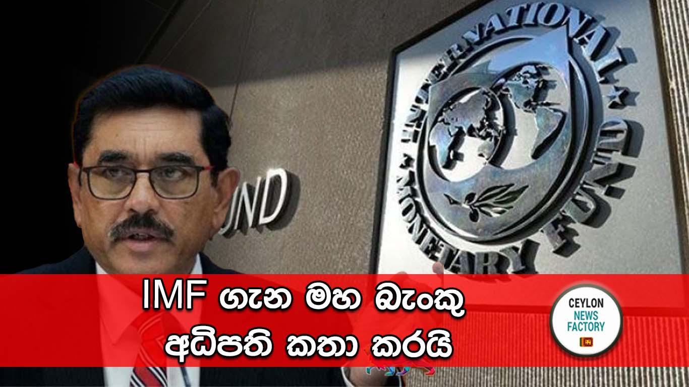 IMF