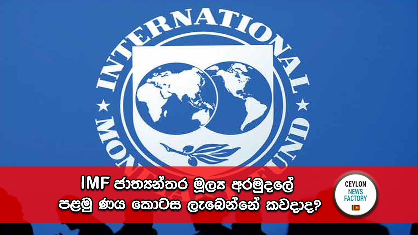 IMF