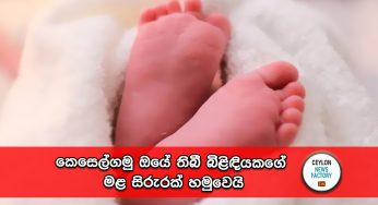 කෙසෙල්ගමු ඔයේ තිබී බිළිඳියකගේ මළ සිරුරක් හමුවෙයි!