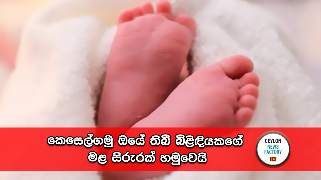 බිළිඳියකගෙ මළ සිරුර