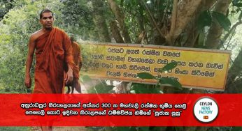 අනුරාධපුර ඔරුගලයායේ අක්කර 300 ක මහවැලි රක්ෂිත භූමිය හෙලි පෙහෙලි කොට ඉදිවන කිරුලපනේ ධම්මවිජය හිමිගේ  “සුජාත පුත්‍ර” !