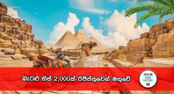 බැටළු හිස් 2,000ක් ඊජිප්තුවෙන් මතුවේ (PHOTOS)