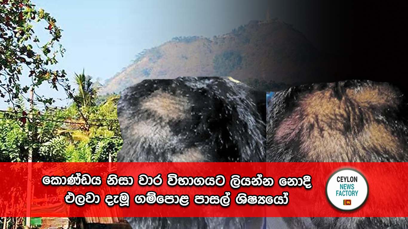 ගම්පොළ