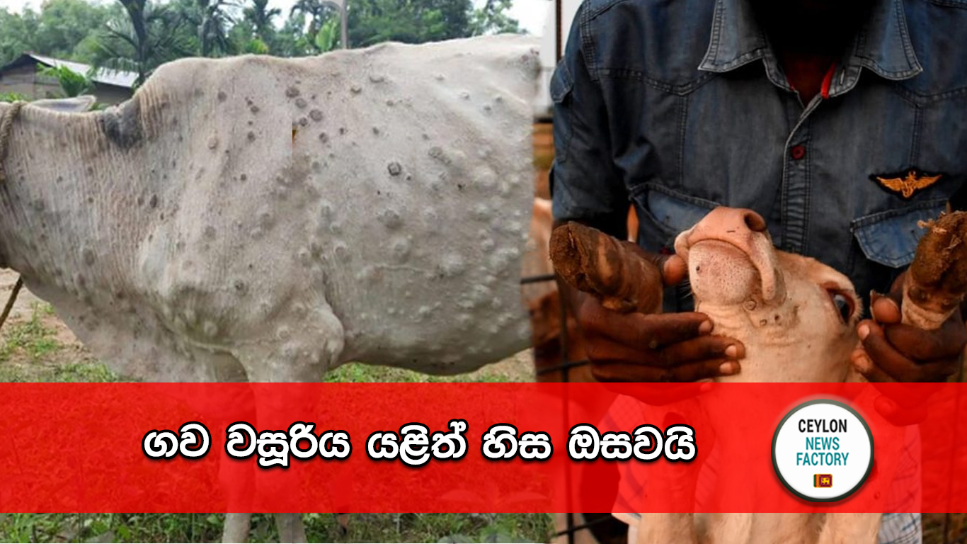 ගව වසූරිය