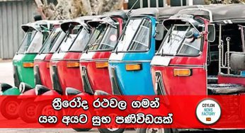 ත්‍රීරෝද රථවල ගමන් යන අයට සුභ පණිවිඩයක් !