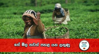 තේ මිල තවත් පහළ යන ලකුණු !