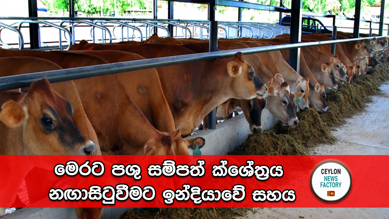 පශු සම්පත්