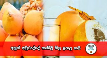 අලුත් අවුරුද්දේ තැඹිළි මිල ඉහළ නගී !