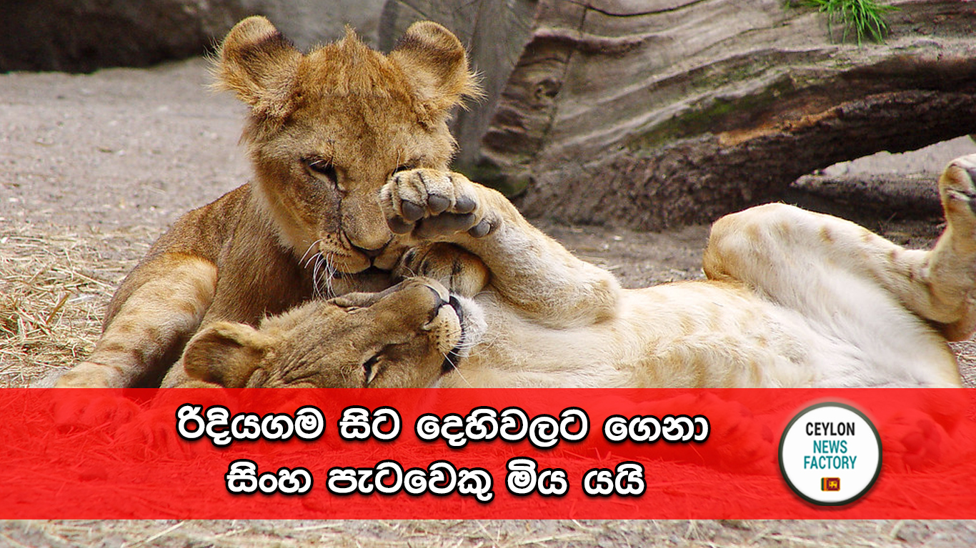 දෙහිවල