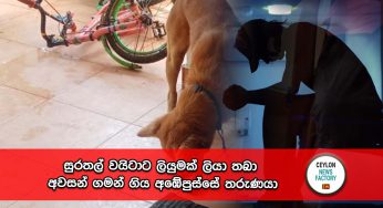 සුරතල් වයිටාට ලියුමක් ලියා තබා අවසන් ගමන් ගිය අඹේපුස්සේ තරුණයා !