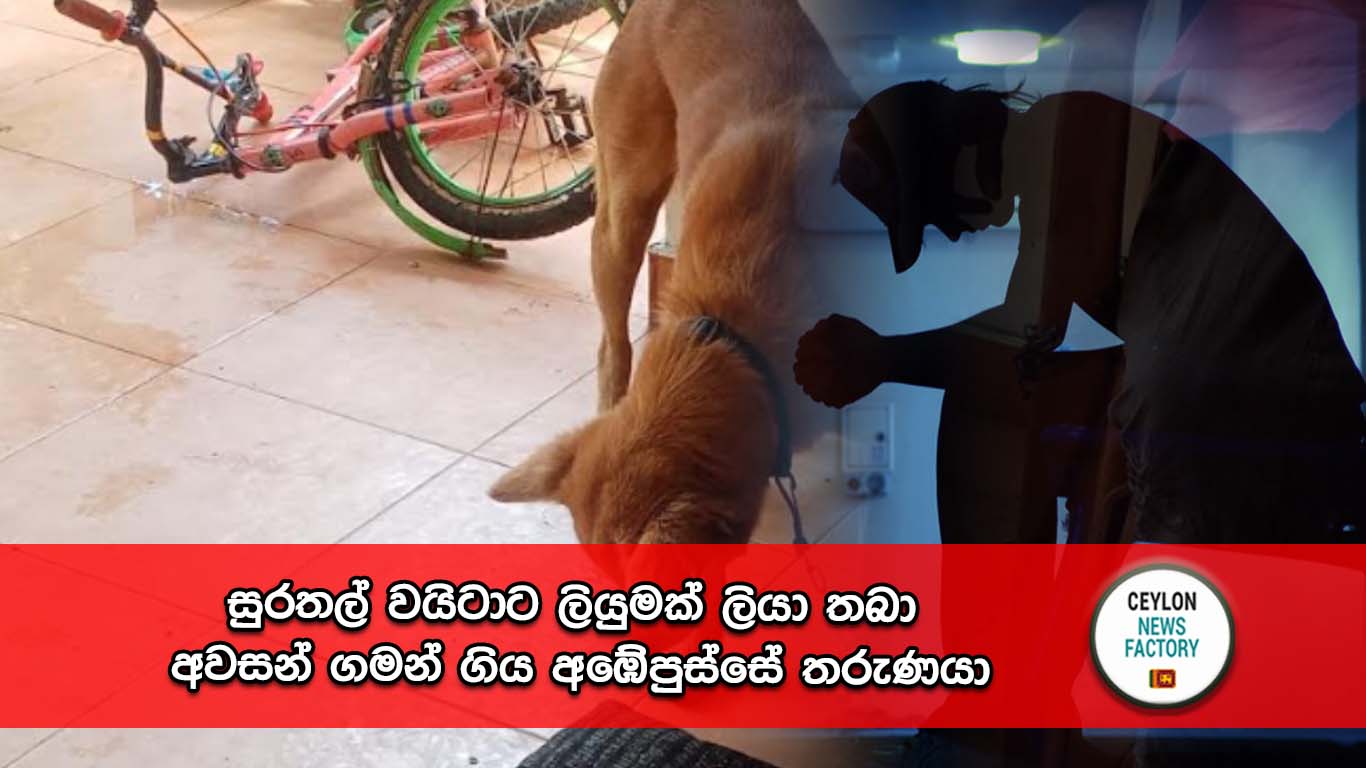 අඹේපුස්ස