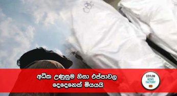 අධික උණුසුම නිසා එප්පාවල දෙදෙනෙක් මියයයි !