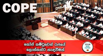 කෝප් කමිටුවෙන් රජයේ ලොක්කන්ට කැඳවීමක් !