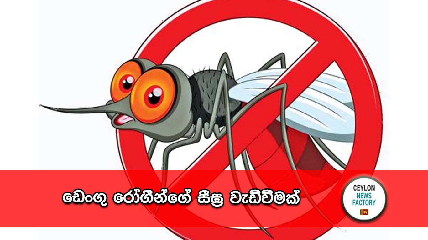 ඩෙංගු