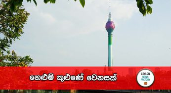 නෙළුම් කුළුණේ වෙනසක් !