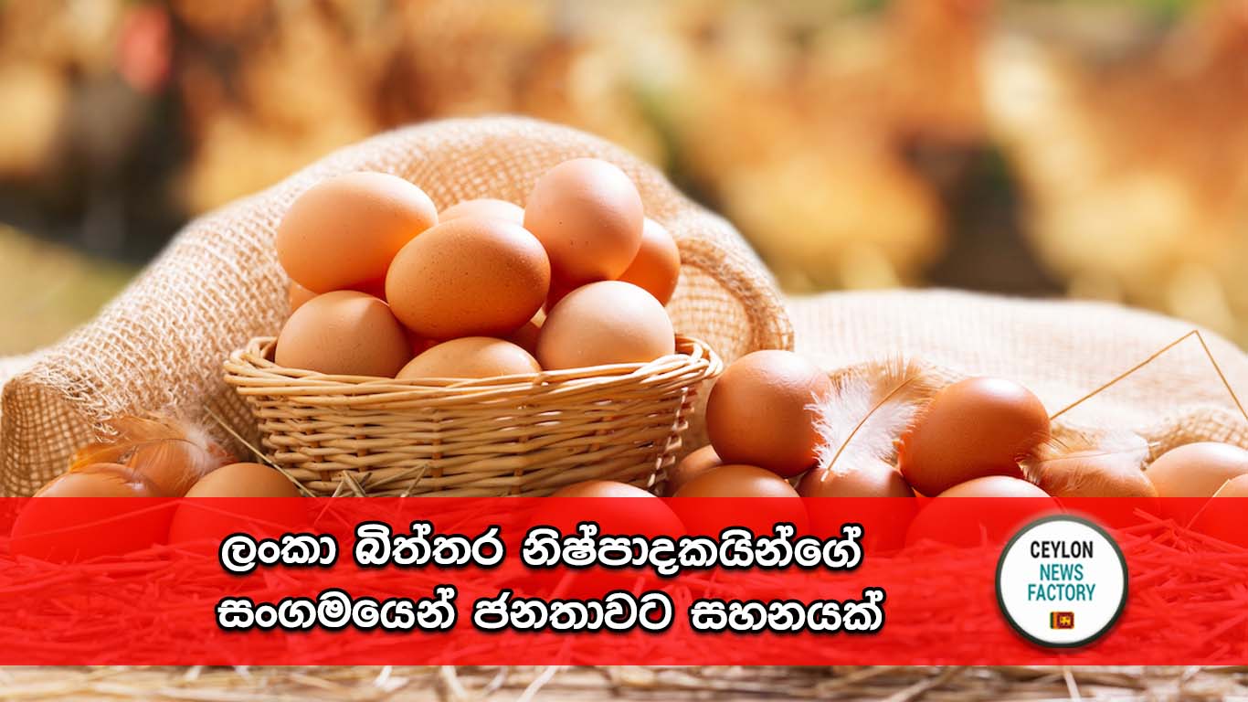 බිත්තර